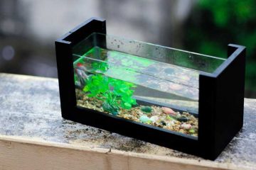 Een aquarium - Welke vissen passen bij jou
