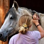 Hoe zorg je goed voor je paard?