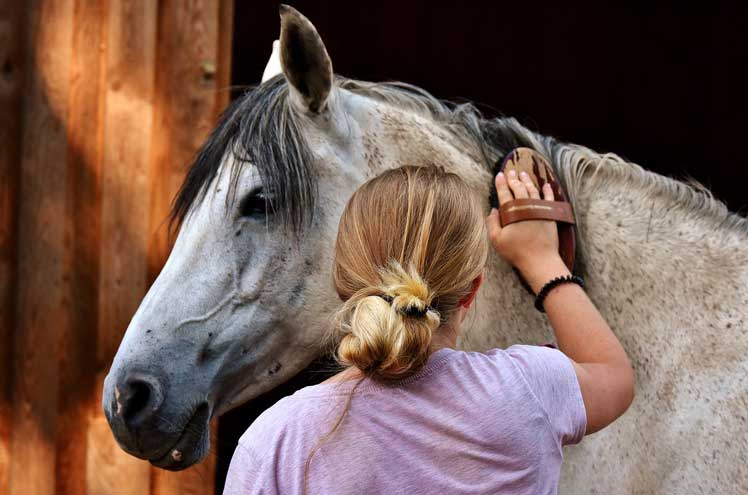 Hoe zorg je goed voor je paard?