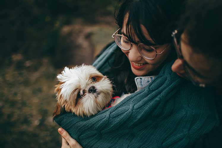 Waarom honden de perfecte metgezel zijn