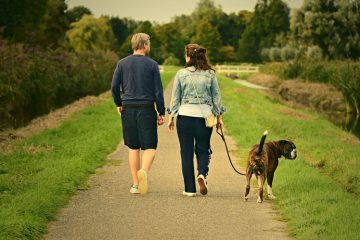 Waarom wandelen met je hond, en wat zijn de voordelen